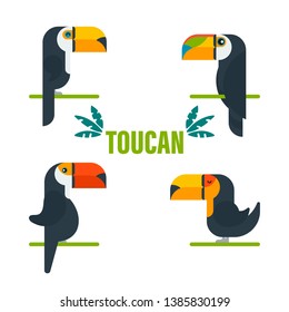 Toucan bird cartoon character. Cute toucan flat vector isolated on white. The fauna of South America. Wild animal illustration for a zoo ad, nature concept, children picture book