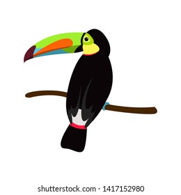 Toucan bird cartoon character. Cute rainbow-billed toucan flat vector isolated on white. South America fauna.  Wild animal illustration for zoo and nature concept, children book illustrating – Vector