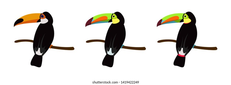 Toucan bird cartoon character. Cute toucan and rainbow-billed toucan flat vector isolated on white. Wild animal illustration for zoo and nature concept, children book illustrating – Vector