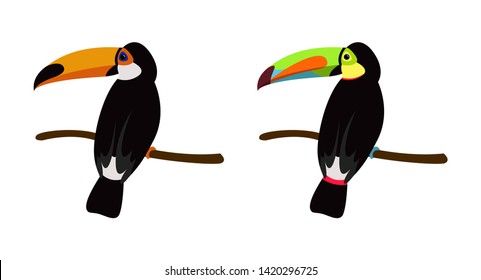 Toucan bird cartoon character. Cute toucan and rainbow-billed toucan flat vector isolated on white. Wild animal illustration for zoo and nature concept, children book illustrating – Vector