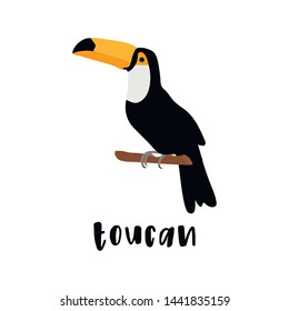 Toucan bird cartoon character. Cute toucan flat vector isolated on white. South America fauna. Guinea pig icon. Wild animal illustration for zoo ad, nature concept, children book illustrating