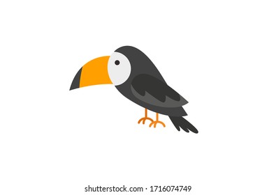 Toucan bird cartoon character. Cute toucan flat vector isolated on white.