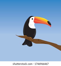Toucan bird cartoon character. Cute toucan flat vector isolated. South America fauna. Guinea pig icon. Wild animal illustration for zoo ad, nature concept, children book illustrating