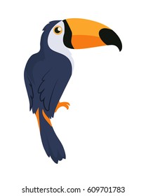 Toucan bird cartoon character. Cute toucan flat vector isolated on white. South America fauna. Guinea pig icon. Wild animal illustration for zoo ad, nature concept, children book illustrating