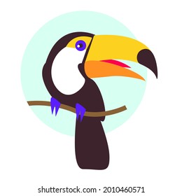 Toucan bird cartoon character. flat vector isolated on white. Colorful icon of tropical nature. Wild animal illustration for zoo ad, brand logo, book