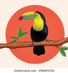 Toucan bird cartoon character. Vector illustration of a bright tropical bird Toucan on a tree branch. The realistic national bird of Belize.  Vector illustration 3D.  Wild bird icon. Design element.