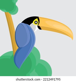 toucan bird cartoon illustration vector design