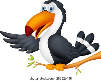 Toucan bird cartoon presenting 