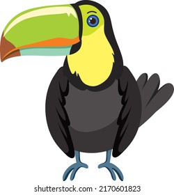 Toucan bird in cartoon style illustration