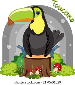 Toucan bird in cartoon style illustration