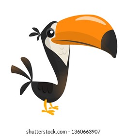 Toucan bird cartoon. Vector illustration of happy tukan isolated