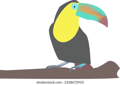 Toucan bird cartoon vector illustration. South America fauna.