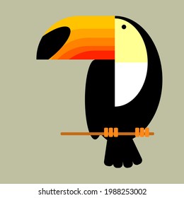 Toucan bird character, icon,symbol, vector illustration. Beautiful bird,colorful,isolated,tropical wildlife.