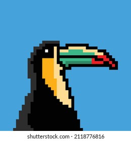 toucan bird character pixel illustration