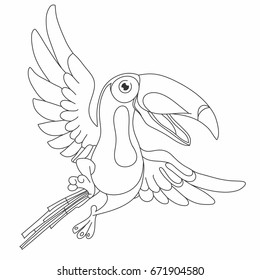 17,954 Toucan color drawing Images, Stock Photos & Vectors | Shutterstock