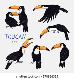 toucan bird color set