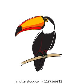 Toucan bird colorful cartoon character. Cute toucan sitting on branch. Flat vector isolated on white. 