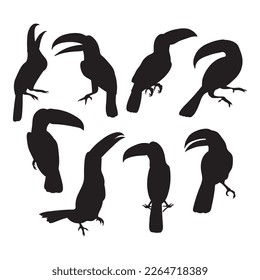 Toucan bird cutting images, set stencil templates decals for design