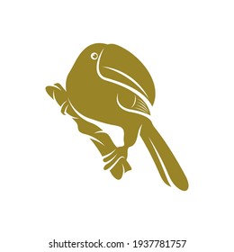 Toucan bird design vector illustration, Creative Toucan bird logo design concept template, symbols icons