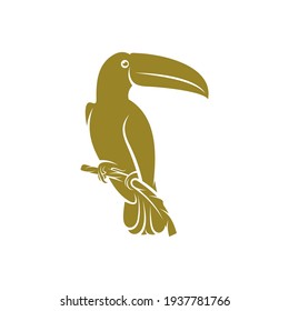 Toucan bird design vector illustration, Creative Toucan bird logo design concept template, symbols icons