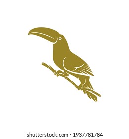 Toucan bird design vector illustration, Creative Toucan bird logo design concept template, symbols icons