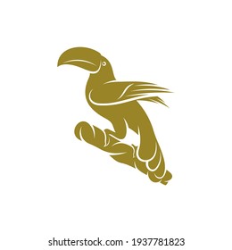 Toucan bird design vector illustration, Creative Toucan bird logo design concept template, symbols icons