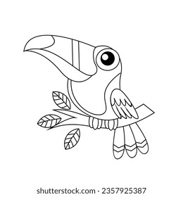 toucan bird drawing line cute black white illustration template
