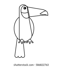 toucan bird exotic fauna thin line