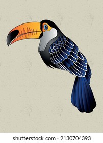 toucan bird exotic graphic design