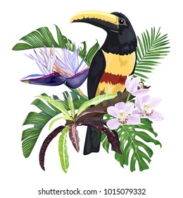 Toucan bird exotic leaves and flowers, monstera, palm, orchids and strelitzia. Vector illustration.