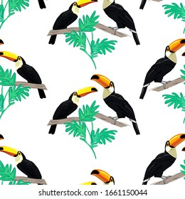 Toucan bird. Exotic bird pattern seamless. Textile print. Vector