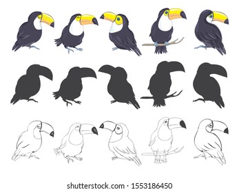 Toucan Bird Graphic Set Sketch And Silhouette