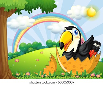 Toucan bird hatching egg in garden illustration