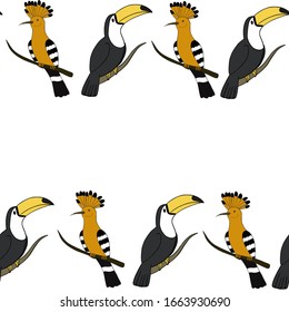 
Toucan bird hoopoe bird vector illustration on white background