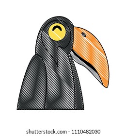 Toucan bird icon