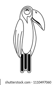 Toucan bird icon