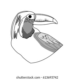 toucan bird icon