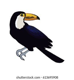 toucan bird icon