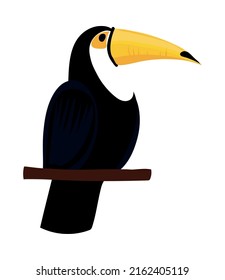 Toucan Bird Icon Flat Isolated