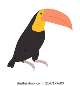 Toucan Bird Icon On White Background