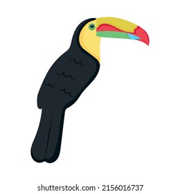 Toucan Bird Icon On White Background