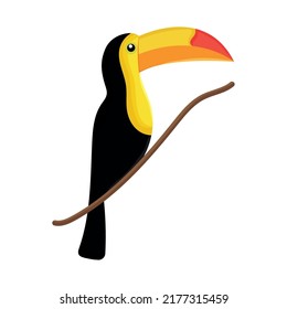 Toucan Bird Icon On White Background