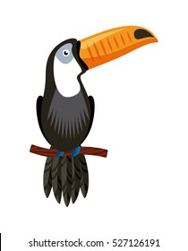 toucan bird icon over white background. brazil culture concept. colorful design. vector illustration