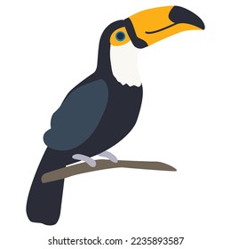 Toucan bird icon, vector hand drawn illustration