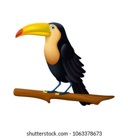Toucan Bird illustration