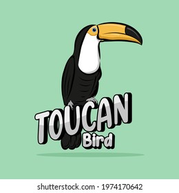 toucan bird illustration, hand drawing animal character. Vector print for tee shirt, character, hand drawing, animal. Vector Illustration