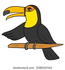 toucan bird illustration hand drawn isolated vector