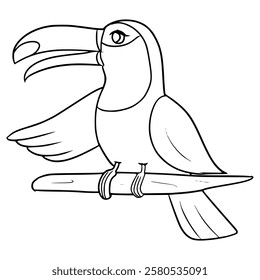 toucan bird illustration hand drawn outline vector