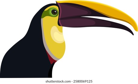 Toucan Bird Illustration Isolated on White Background