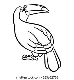 Toucan bird illustration outlined. Vector
